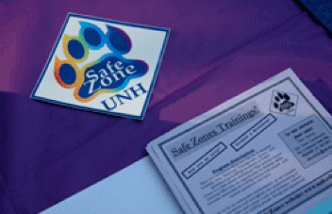 safe-zone-unh-training-image