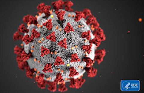 Coronavirus-19 CDC image