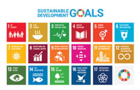 unh-sustainability-goals
