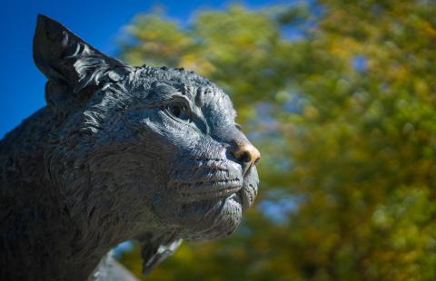 Wildcat Statue