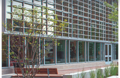 cover of paul perspectives, spring 2017