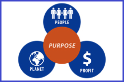 social innovation and enterprise