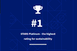stars-platinum