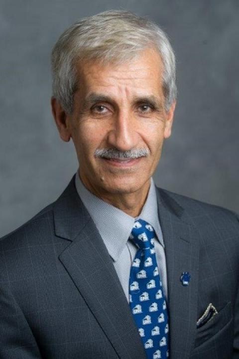 Ahmad Etebari