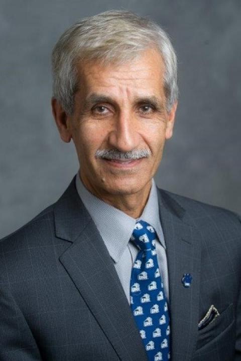 Ahmad Etebari