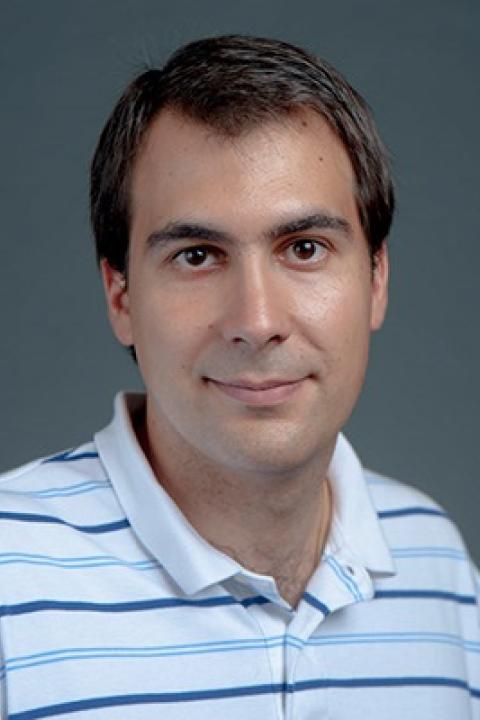 Marco Vincenzi