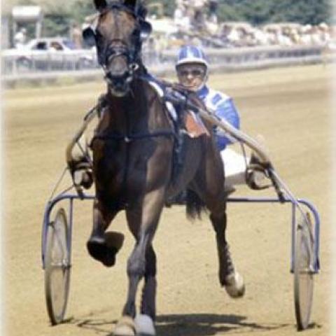 Speedy Somoli